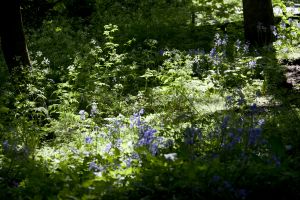 haworth may 25 2016 21.jpg